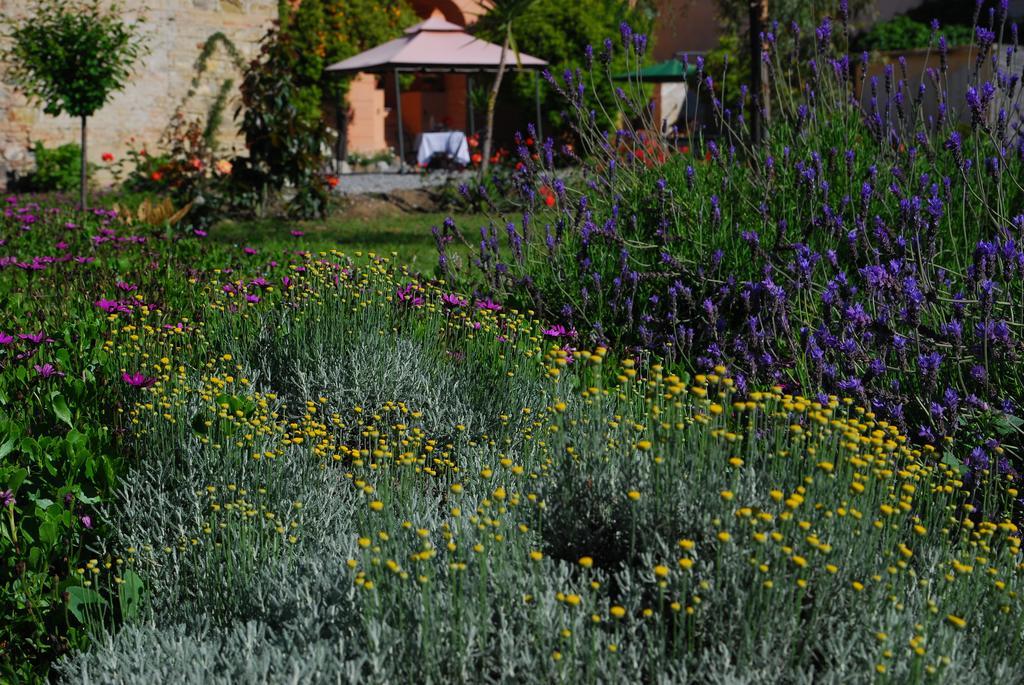 Agriturismo Coppi Rossi Torrazza  Luaran gambar