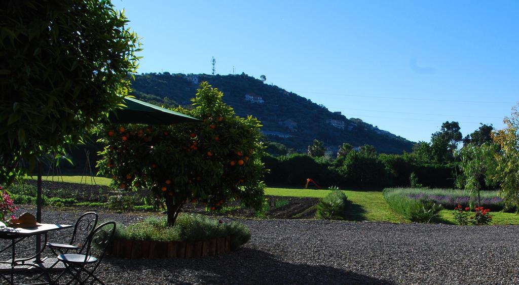 Agriturismo Coppi Rossi Torrazza  Luaran gambar